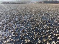 橡膠瀝青同步碎石封層